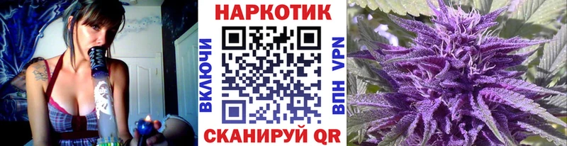 Где купить Волчанск ГАШИШ  Канабис  A PVP  mega рабочий сайт  Мефедрон  Псилоцибиновые грибы 