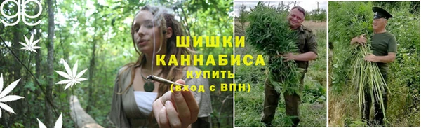 гашишное масло Беломорск