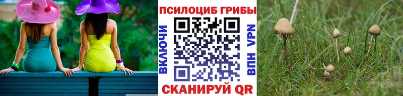 Псилоцибиновые грибы MAGIC MUSHROOMS  blacksprut онион  Волчанск 